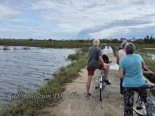 2de1bf36-ab20-4a18-9d61-ec6fada1d80d