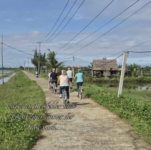 2fc0a456-aa0b-4398-b573-995623412fca