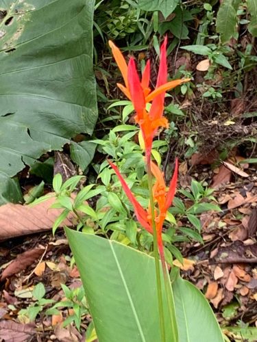 390676f8-8ef2-4cea-a473-8cdd6480b7bd