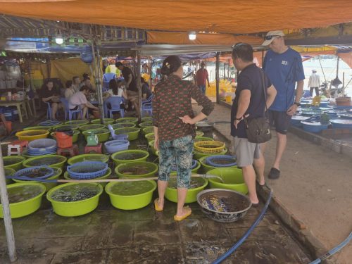 69b170ad-a4e1-4c2c-a7e8-b2aa828fd516