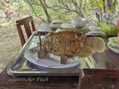 7542745d-8e10-4f03-962e-feac27ea1797