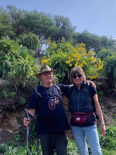 7eff6bfb-d65e-42f5-a98e-179451474f41