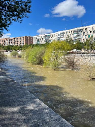 Spaziergang bei Sonnenschein am Río Manzanare entlang. 