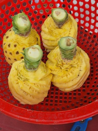 a17fc092-7164-44ca-8b11-72cd97ad97bb