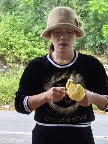 b88787bc-ed32-4453-8464-e0b99224f648