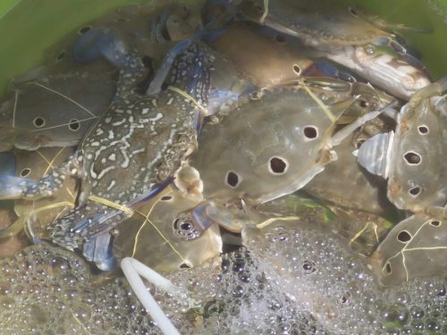 cfb85ec9-4f99-4770-876d-9637c2da3e39