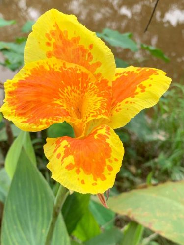 Vietnam 5.11. weiter geht`s