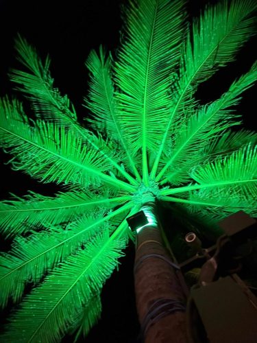 Vietnam 17.11. Mue Ne